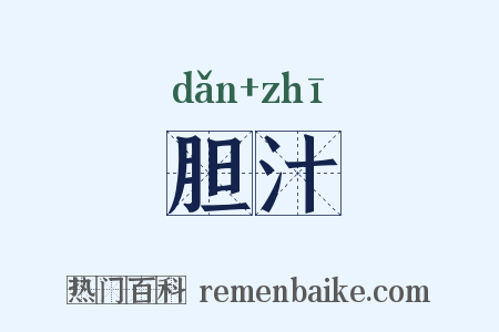 胆汁是什么意思的图片